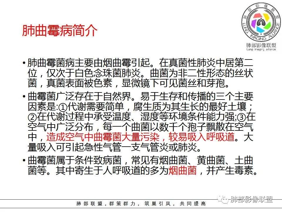 【PPT】侵袭性肺曲霉病影像分型及表现