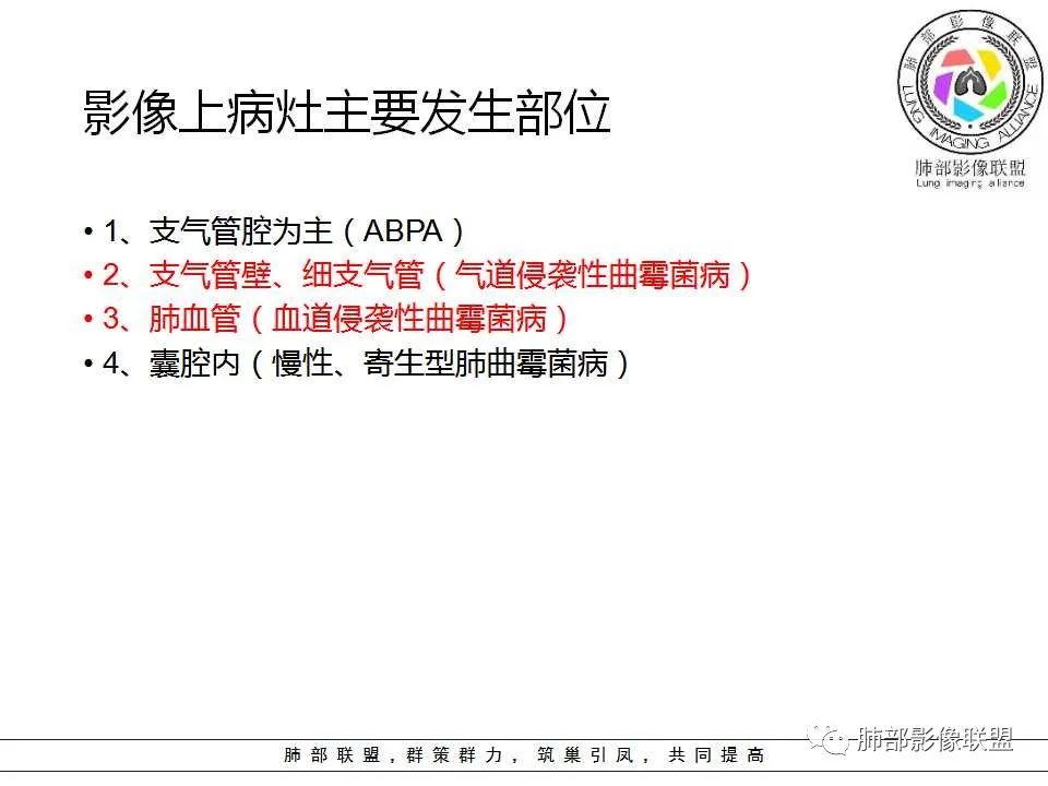 【PPT】侵袭性肺曲霉病影像分型及表现