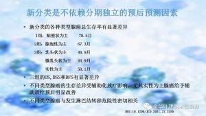 浸润性腺癌（IAC）病理分类预后