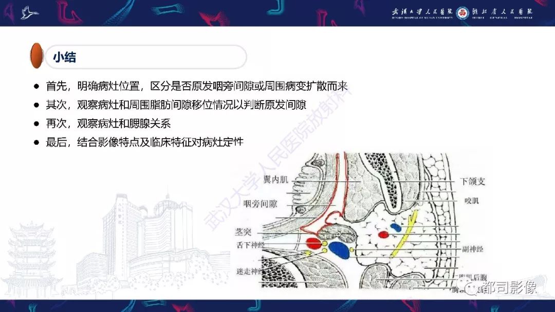 【PPT】咽旁间隙解剖及病变影像诊断 【PPT】咽旁间隙解剖及病变影像诊断
