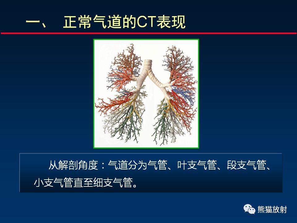 【PPT】正确判读支气管异常的CT征象 【PPT】正确判读支气管异常的CT征象