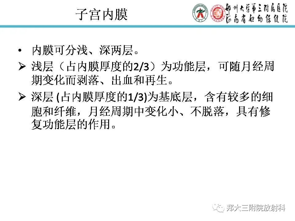 【PPT】育龄期女性正常子宫的MRI表现