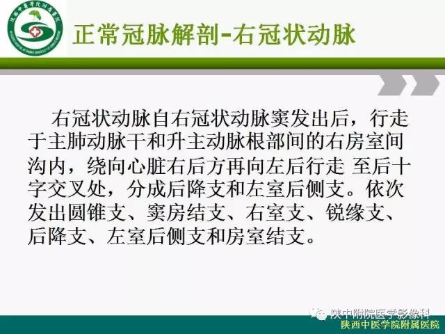 【PPT】冠状动脉、静脉正常解剖与变异