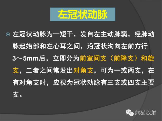 【PPT】冠状动脉解剖