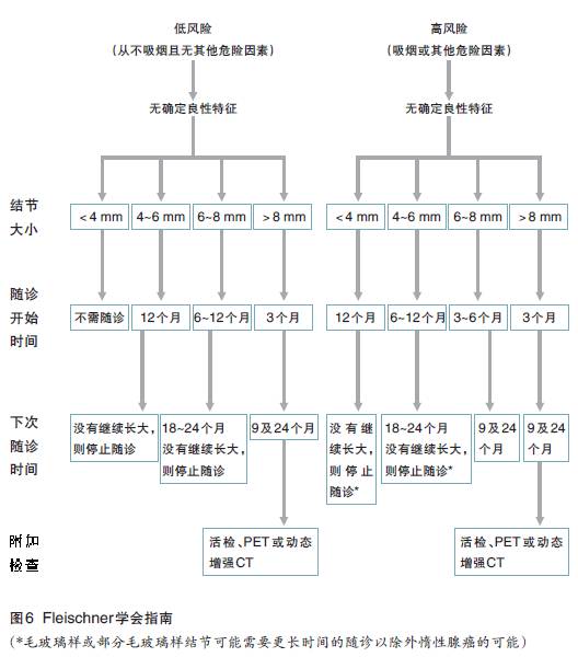 肺内小结节的影像学特点和处理策略