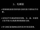 肺内孤立性小结节的CT诊断探析