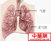 肺炎