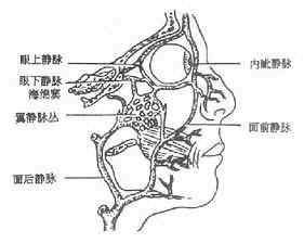 痈 痈