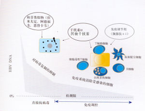 乙肝 乙肝