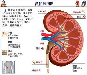 肾错构瘤