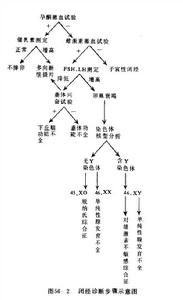 闭经 闭经