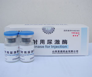 多发性大动脉炎 多发性大动脉炎