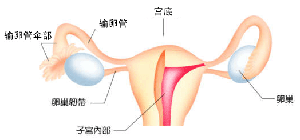 血尿