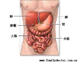 腹部损伤 腹部损伤