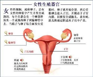 月经失调