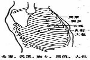 肋间神经痛 肋间神经痛