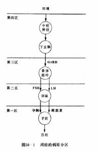 闭经 闭经