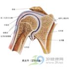 肩周炎