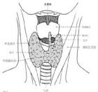 甲状腺功能亢进症